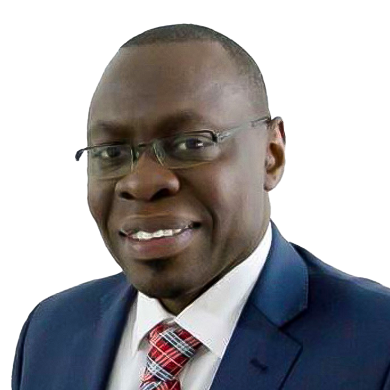 Dr Ibrahima Socé Fall